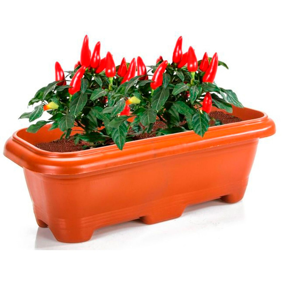 ERCA FLOREIRA CERAMICA 3L RF1377 Imagem 1
